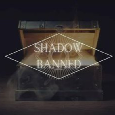 NY Patriot W/ Shadow Banned Podcast episode artwork