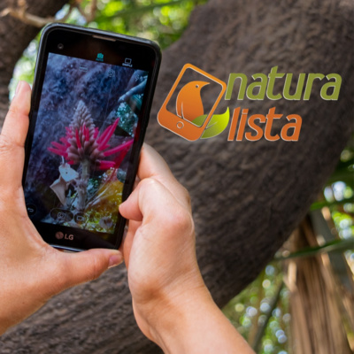 Biodiversidad Mexicana