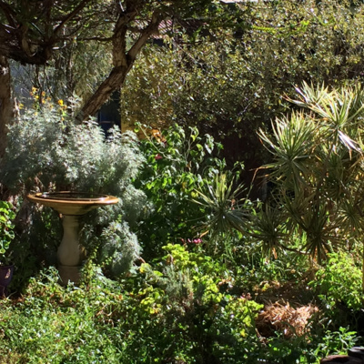 Soil and Human Health