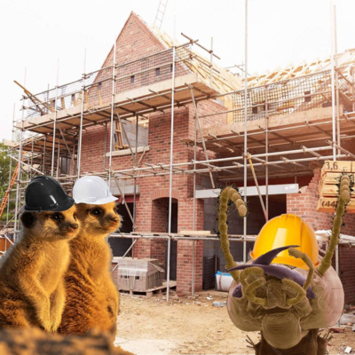Builder