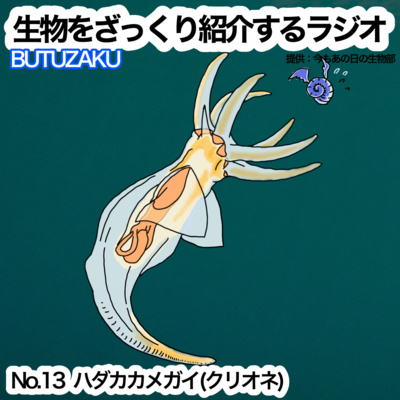 生物をざっくり紹介するラジオ　〜ぶつざく〜