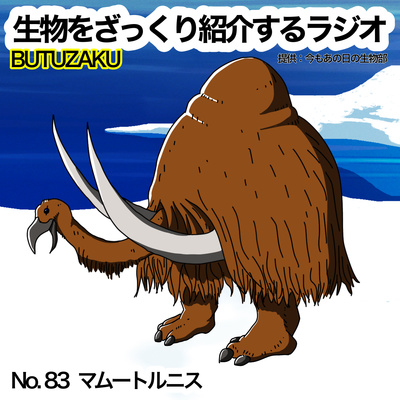 第65話 ニシツノメドリ パフィン をざっくり紹介 By 生物をざっくり紹介するラジオ ぶつざく