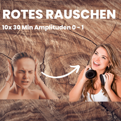 Rotes rauschen Brown Noise Amplituden 0 bis1