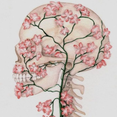 Diario de una estudiante de medicina: La automedicación de María.