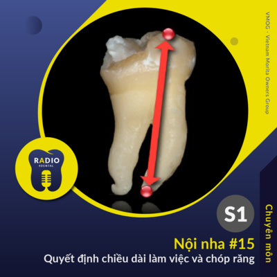 Nha sĩ học bài