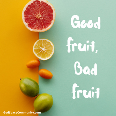 Good Fruit, Bad Fruit episode artwork