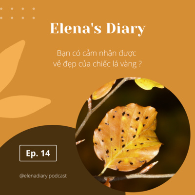 #14: Bạn có cảm nhận được vẻ đẹp của chiếc lá vàng?