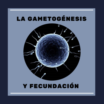 La gametogénesis y Fecundación