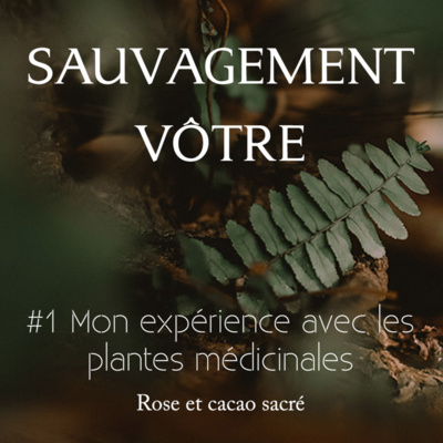 #1 Mon expérience avec les plantes médicinales