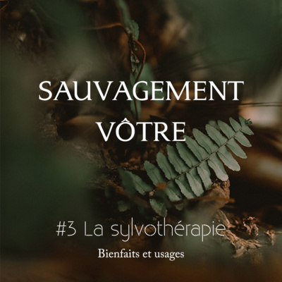 #3 La sylvothérapie