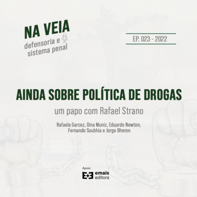 Na Veia - defensoria e sistema penal