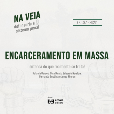 Na Veia - defensoria e sistema penal