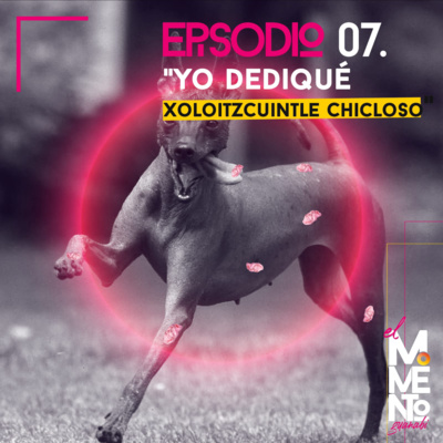Yo dediqué Xoloitzcuintle Chicloso.