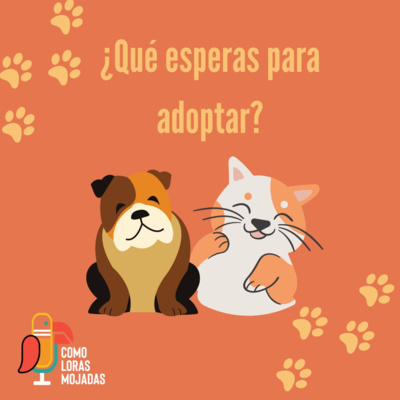 Como Loras Mojadas