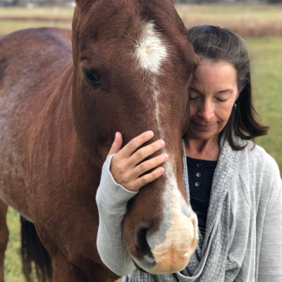 Stable Connections the Podcast