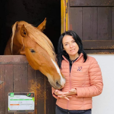 Stable Connections the Podcast