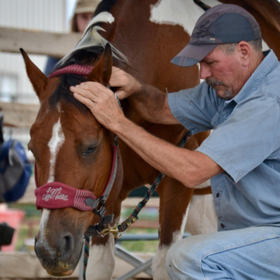 Stable Connections the Podcast