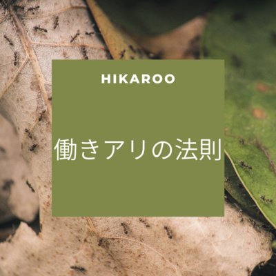 脳内サプライズ！【働きアリの法則】