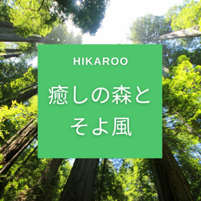 【自然音】癒しの森とそよ風