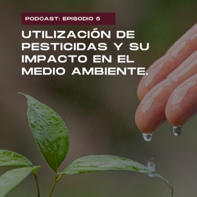 Universidad Argentina John F. Kennedy- Podcast