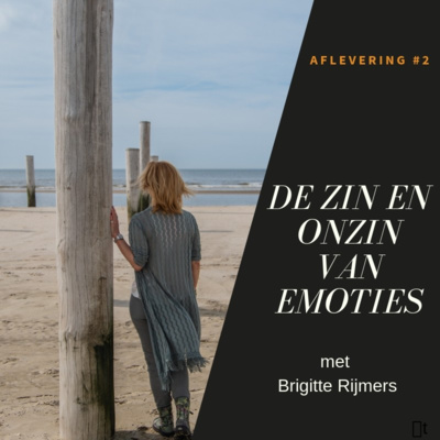 Ongeduld - De Zin en Onzin van Emoties - #2