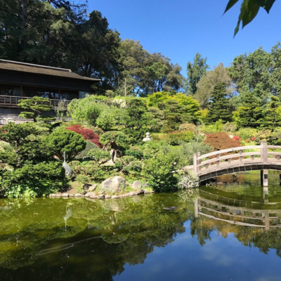 董小雯介紹西半球最古老最正統的日式庭園箱根園 Hakone Estate & Gardens; 兩性談徐州八孩媽鐵鍊女駭人聽聞慘劇始末