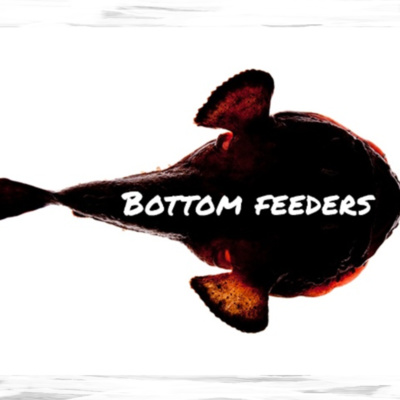 The Observer Station