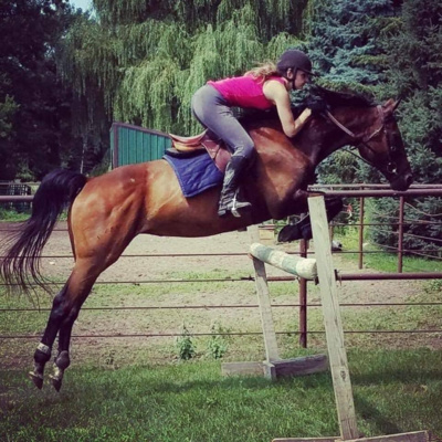 Harmonious Equestrian Connection
