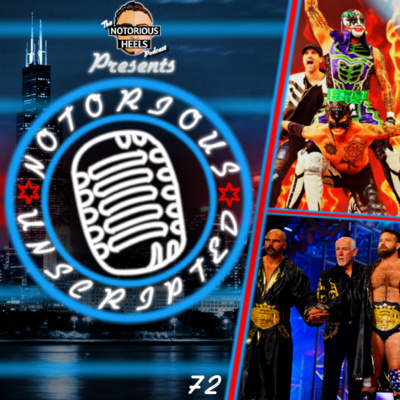 The Problem With The AEW Tag Team Division Nobody is Talking About! | Notorious Unscripted 72 |