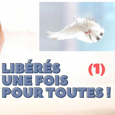 LIBÉRÉS UNE FOIS POUR TOUTE (1ère partie) episode artwork