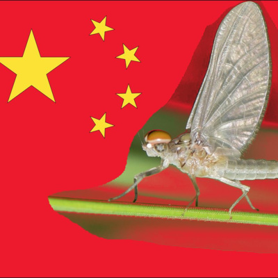 No, China Isn't Fine Now episode artwork