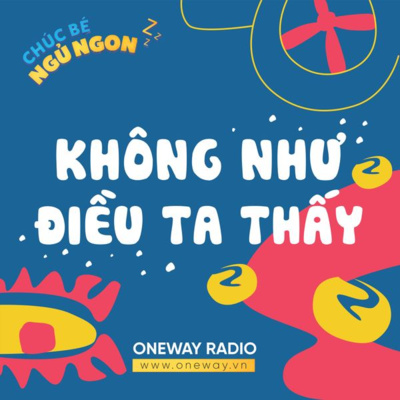KHÔNG NHƯ ĐIỀU TA THẤY KHÔNG NHƯ ĐIỀU TA THẤY