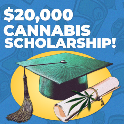 Veriheal's $20,000 Innovation in Cannabis Scholarship (2021) - Tiny Tokes