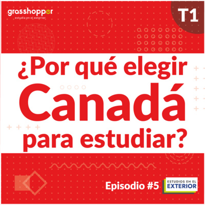 Portada de Grasshopper, Estudios en el Exterior