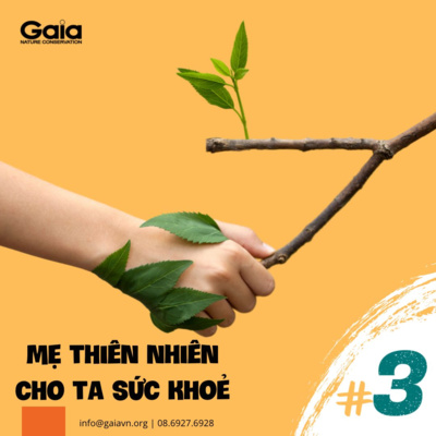 Yêu Thiên Nhiên - Kì 2: Thiên Nhiên cho ta sức khoẻ