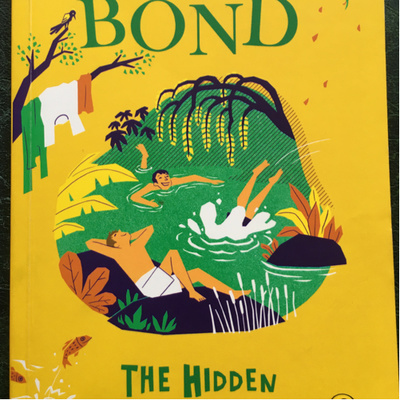 Ruskin Bond - The Hidden Pool