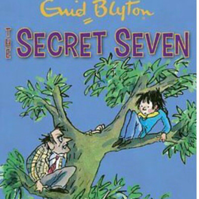 Secret Seven Adventure by Enid Blyton