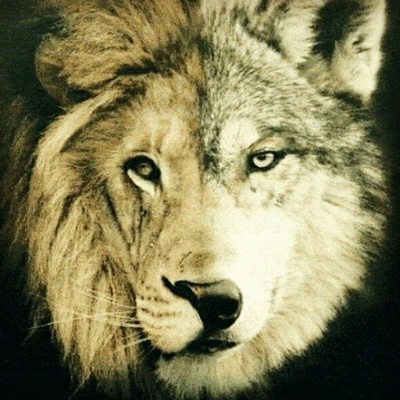 Old Cherokee tale of The Lion and The Wolf