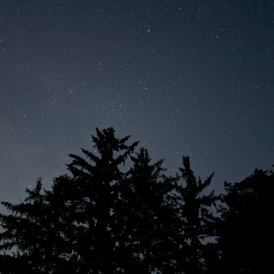 S1E2 Vishwachya Footpattya S1E2 Vishwachya Footpattya