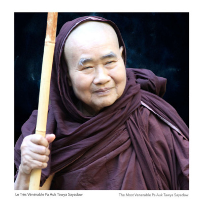 2. Hướng dẫn thiền Ānāpānasati - Pa Auk Tawya Sayadaw episode artwork