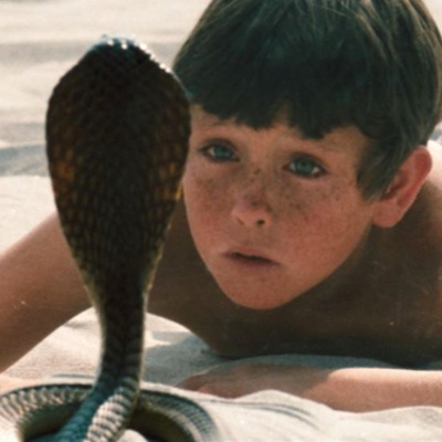 Zwierzęcy Kalejdoskop Filmowy - Odcinek 8: Wąż