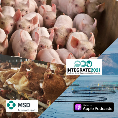 Integrate 2021 - The Cross-Sector Opportunities Conference Integrate 2021 - The Cross-Sector Opportunities Conference