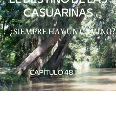 AUDIOLIBRO \