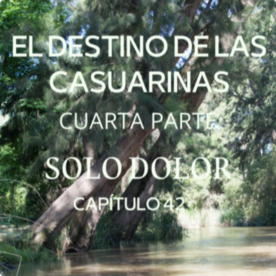 AUDIOLIBRO \