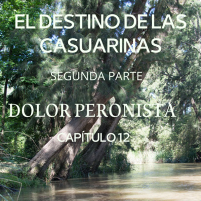 AUDIOLIBRO \