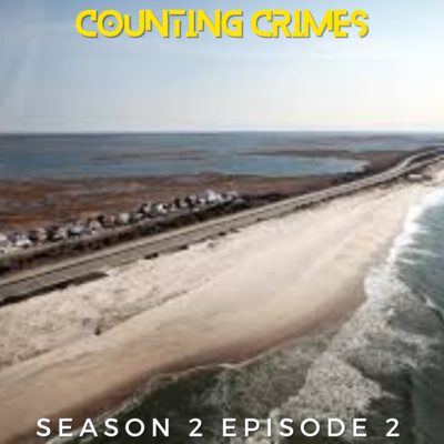 Counting Crimes