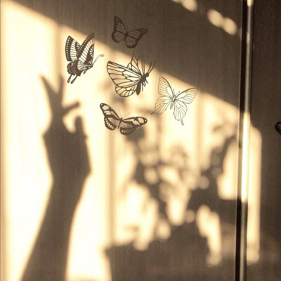 First Butterflies episode artwork