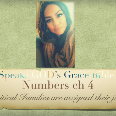 Numbers ch 4 Levitical Families are assigned their jobs (BLOG POST)