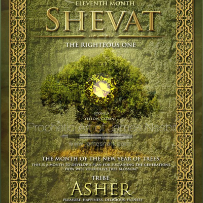 Footsteps of the Messiah