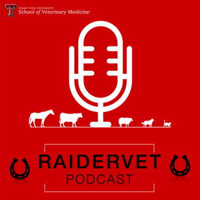 RaiderVet Podcast S1E1: Dean Loneragan